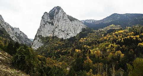 Küre Dağlarında sonbahar bir başka güzel