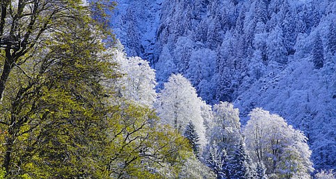 Rize'ye Kasım karı düştü