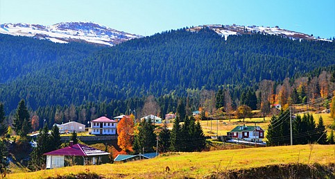 Yayla Cenneti Akçaabat