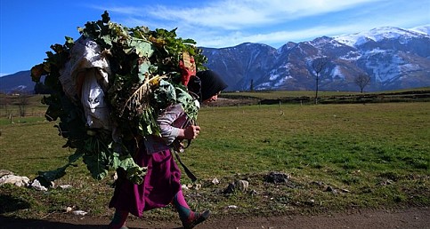 Karadeniz'in çalışkan kadınları