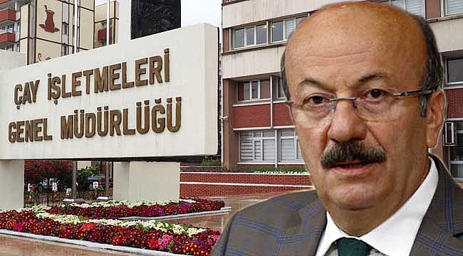 Azerbaycan’dan 300 Ton Çay İthalatı kararına tepki