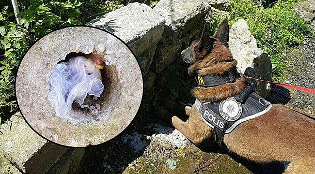 Rize'de uyuşturucu satıcılarına her gün darbe