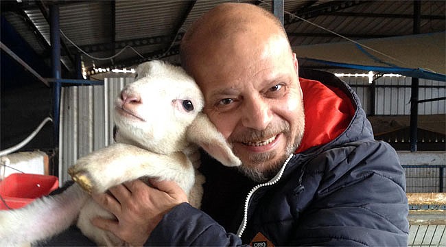 Rizeli iş adamları koyun ve kuzu çiftliği kurdu