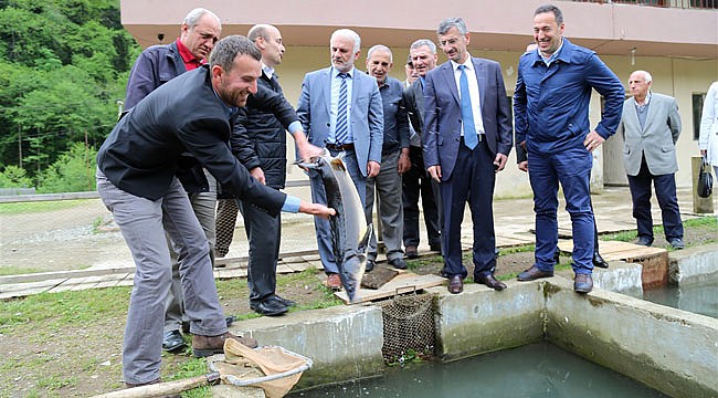 Vali Bektaş'tan Çamlıhemşin'de inceleme