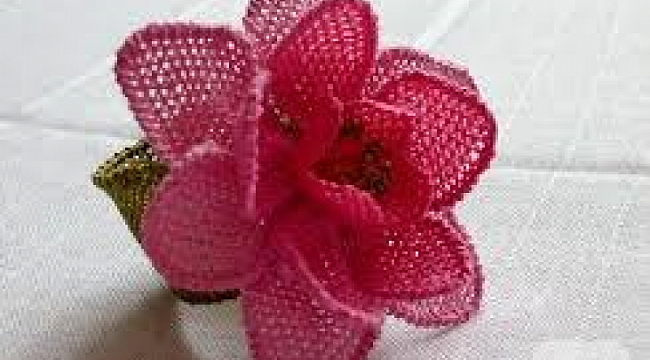 Yeni İğne Oyaları Modelleri