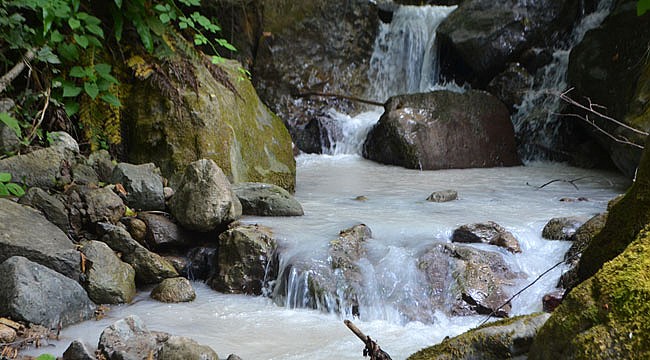 Maden çalışmaları suyu kirletti, hayvanlar zehirlendi