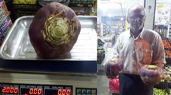 Rizeli vatandaş 2 kilo ağırlığında turp yetiştirdi