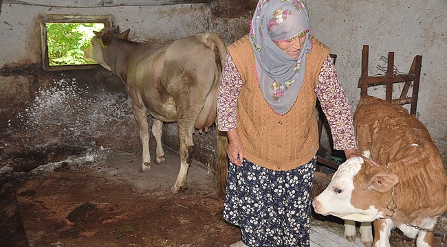 Artvin'de 3 ilçe karantina altına alındı