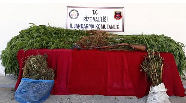 Rize'de uyuşturucu operasyonu: 1 kişi tutuklandı