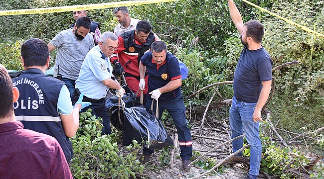 Üzerine ağaç düşen çocuk hayatını kaybetti