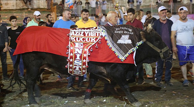 Kafkasör Festivali boğa güreşleriyle sona erdi