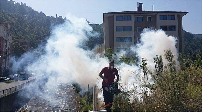 Rize'de sivrisinek ve haşereyle mücadele sürüyor