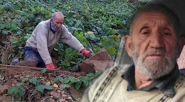 Rize'de çay tarlasında ceset bulundu