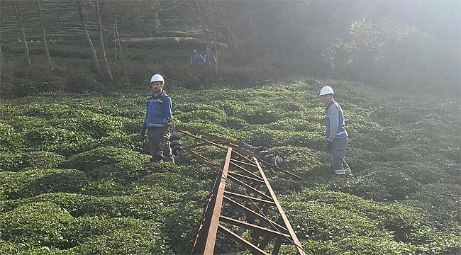 Rize'de kesilen ağaçlar elektriksiz bıraktı