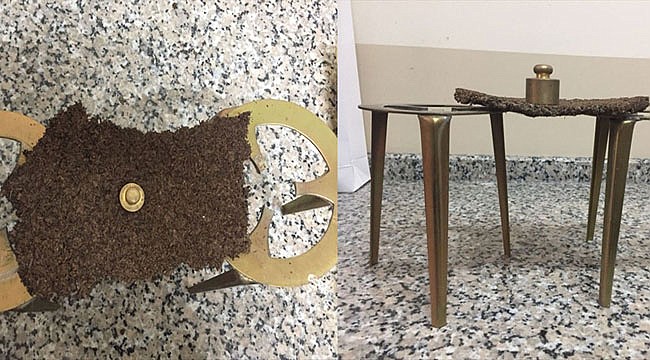 Rize'de öğrenciler Çay atıklarını değerlendirdiler