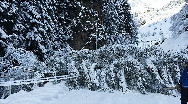 Çoruh Edaş'tan zor hava koşullarında müdahale