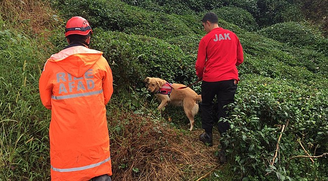 İyidere'de kaybolan Osman Cerrah bulunamıyor
