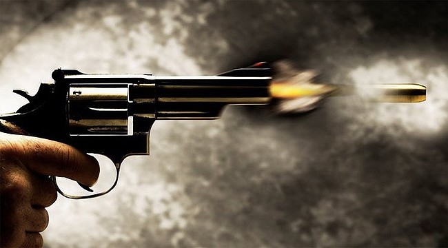 Damat cinayeti: Kaynanasını öldürdü