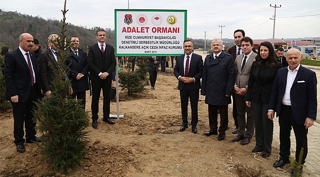 Rize'de 'Adalet Ormanı' oluşturuldu