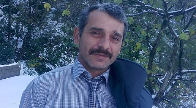 Rize'de kesilen ağaç ölüme sebep oldu