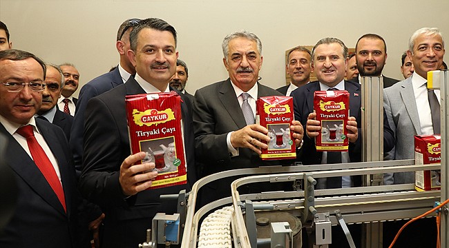 Tarım Bakanı'na göre de çay üreticisi memnun!