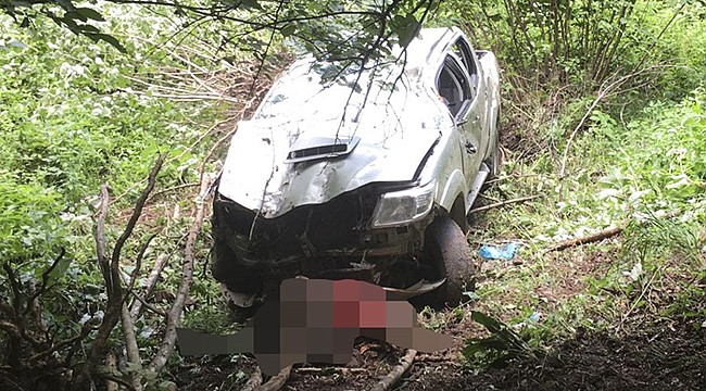 Çamlıhemşin'de kamyonet uçuruma yuvarlandı: 1 ölü
