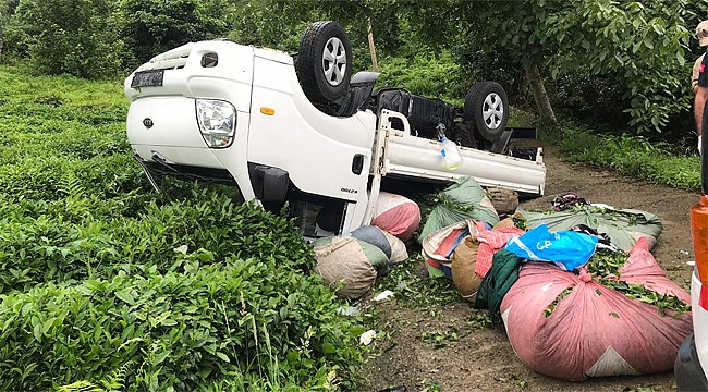 Rize'de çay yüklü kamyonet takla attı: 8 yaralı