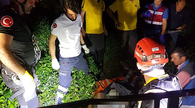 Rize'de çıktığı ağaçta elektrik çarpan kişi öldü