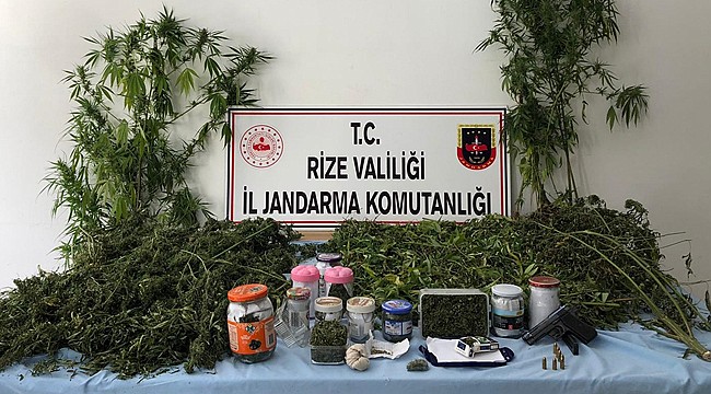 Çamlıhemşin'de uyuşturucu operasyonu