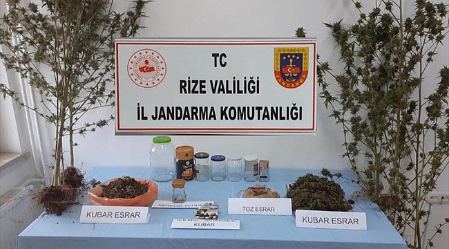 Kalkandere'de uyuşturucu operasyonu