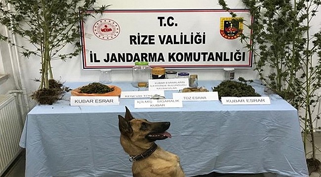 Rize Jandarması 1 ayda 3 kilonun üzerinde uyuşturucu yakaladı