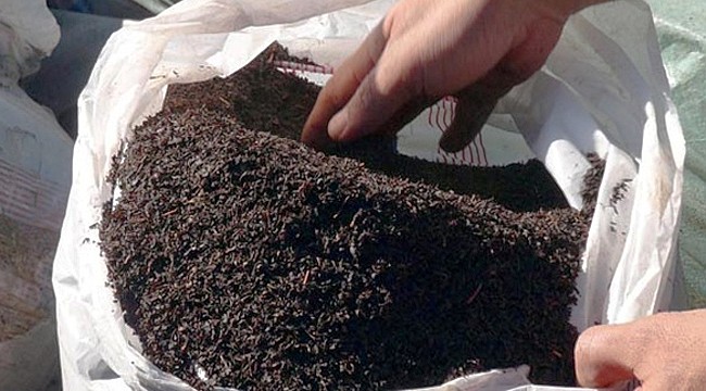 Bakanlık 3 çay firmasında daha katkı maddesi tespit etti