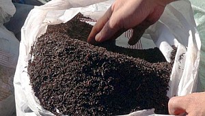 11 çay firmasının gıda boyası kullandığı tespit edildi