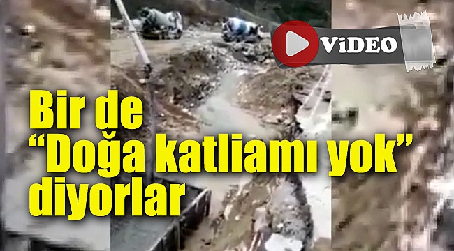 Güneysu'daki HES değil, resmen 'Doğa Katliamı'
