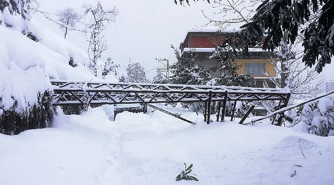 Rize'de kar yağışına ne ağaç, ne elektrik direği dayandı