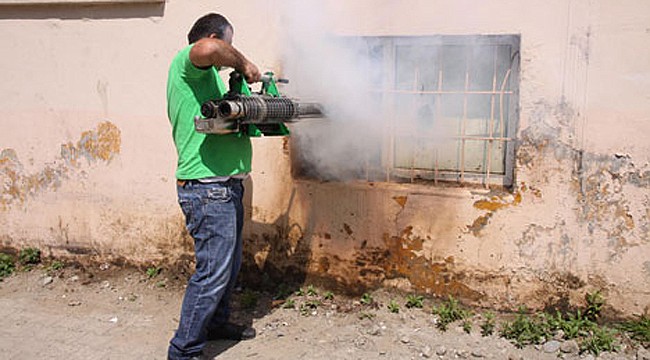 Rize'de sineklerle mücadele başladı