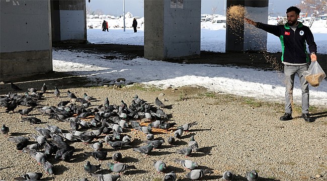 Rize'de sokak hayvanları da unutulmadı