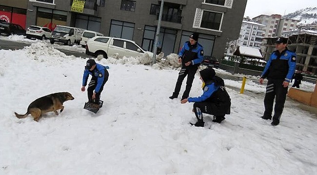 Rize Emniyeti sokak hayvanlarını unutmadı