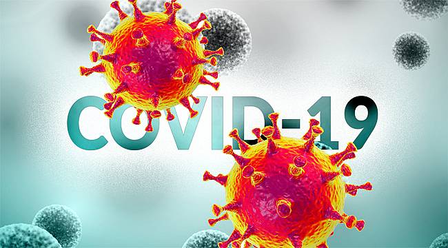 Rize'de karantinada kalmayan 2 kişiye ceza kesildi