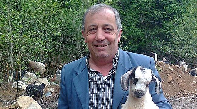 Çayeli'nde muhtara silahlı saldırı