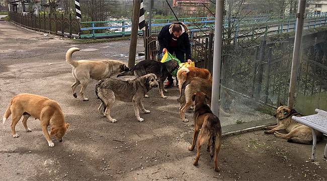 Rizeli gençler sokak hayvanlarını unutmadılar