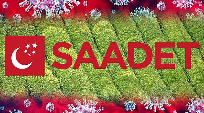 Saadet'ten yaş çay sezonu ile ilgili 5 maddelik öneri