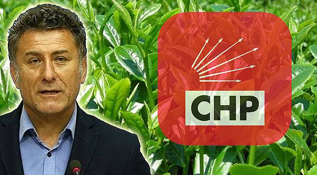 Yaş çay taban fiyatı derhal açıklanmalıdır!