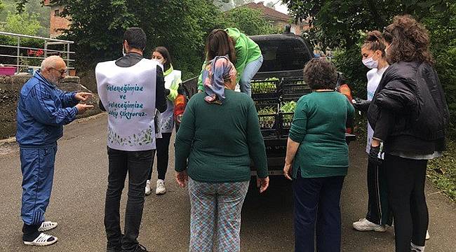 Fındıklı'da gençler ücretsiz fide dağıtıyor