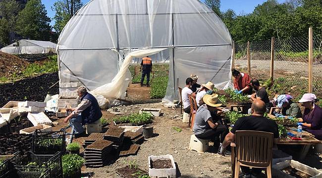 Fındıklı'da vatandaşlara 6 bin ücretsiz fide dağıtılacak