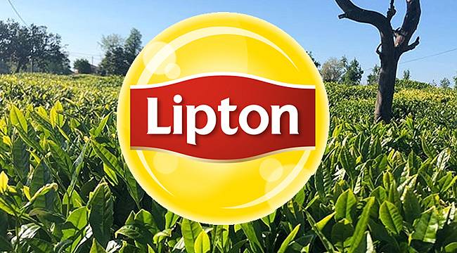 Lipton yaş çay taban fiyatını 3 TL olarak belirledi
