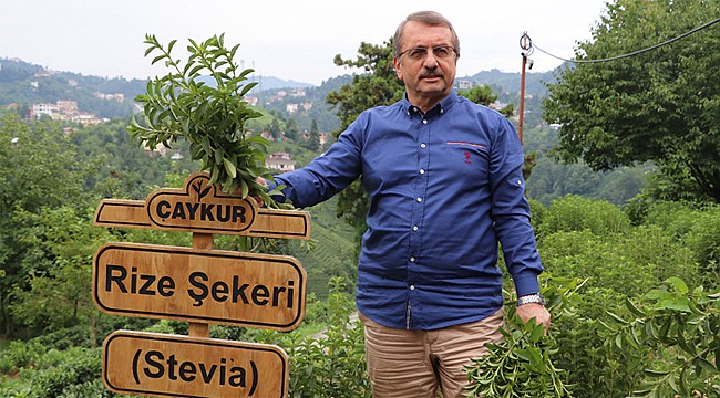 Sütlüoğlu: Stevia konusunda Bakan'ı yanılttılar