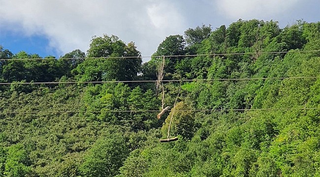 Çoruh Edaş, enerji hatlarına müdahale eden vatandaşları bir kez daha uyardı