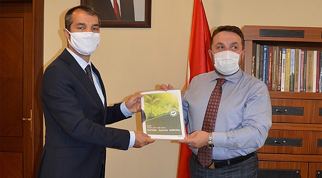 Pandemi sürecinde çay tarımı iyi yönetildi