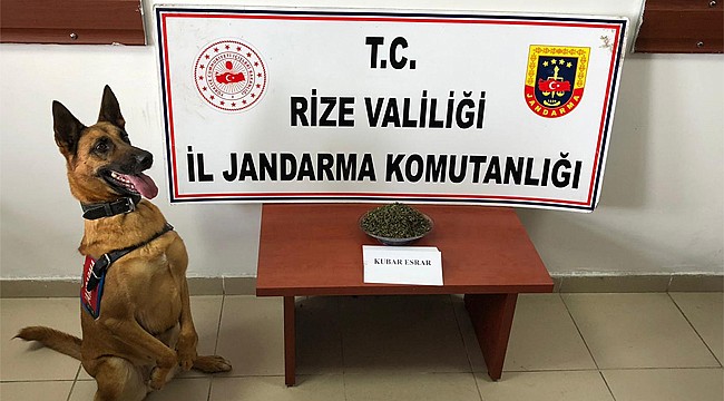 Çayeli'nde uyuşturucu operasyonu: 1 kişi yakalandı